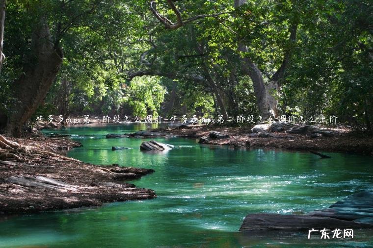 拼多多ocpx阶段怎么调低价格 拼多多ocpx第二阶段怎么调价