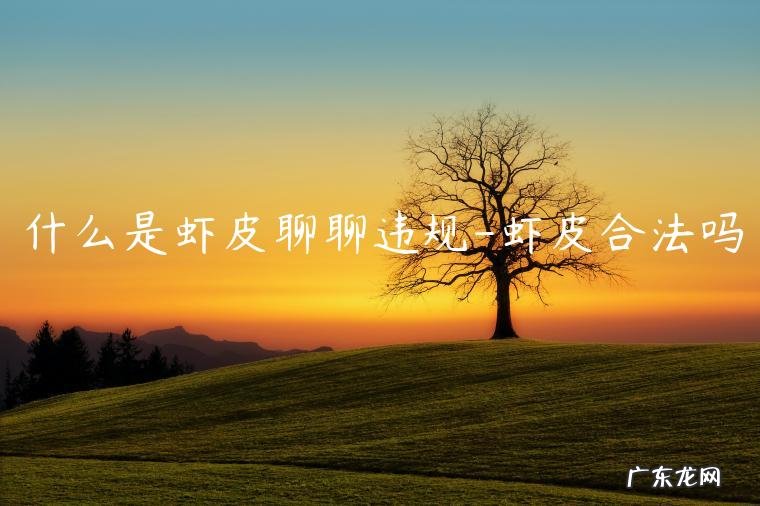 皮皮虾不能私聊吗 什么是虾皮聊聊违规