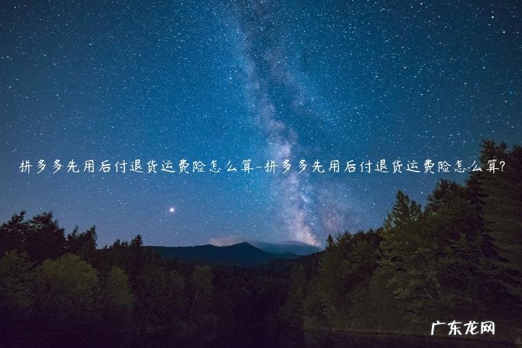 拼多多 退货 运费险 拼多多先用后付退货运费险怎么算