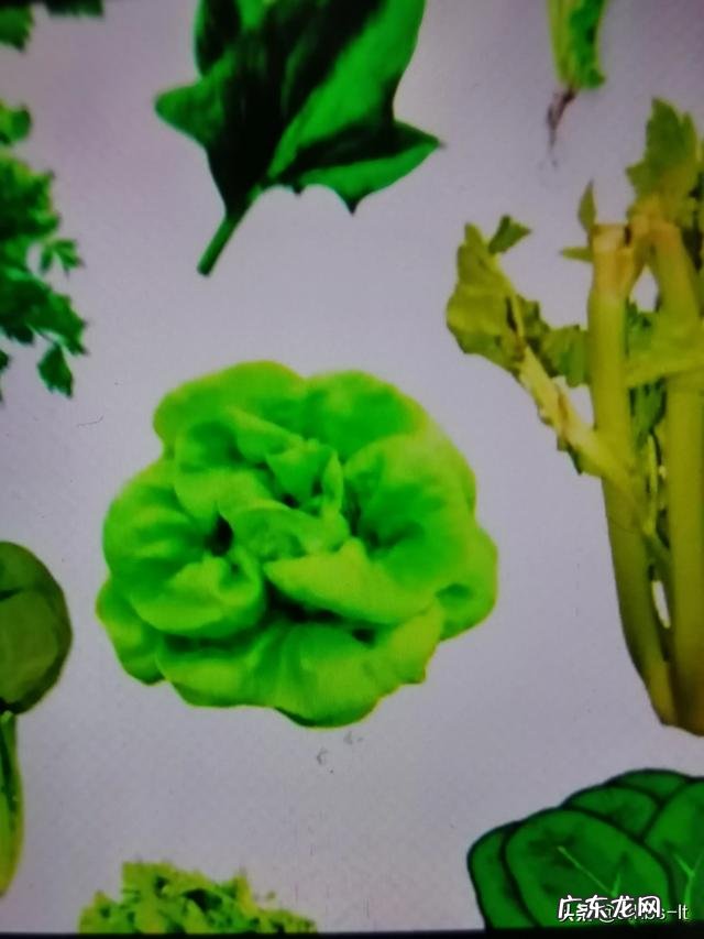 怎样才能找到适合自己的减肥方法？