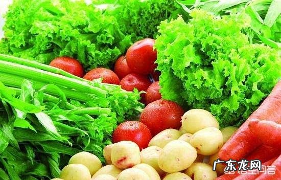 减肥，考试，上班，怎么合理安排？