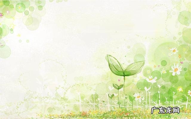 有没有看了能受益一生的书 有没有一本书,看完序言你就忍不住想要读完它?