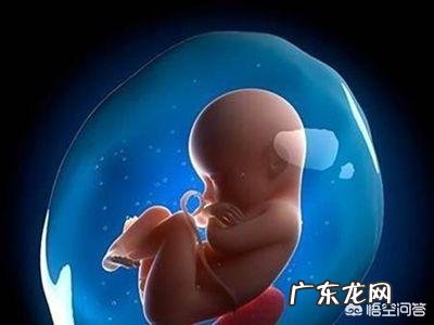 怀孕多少周要开始做胎心监护