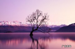 怎么投诉淘宝卖家 怎么投诉淘宝卖家侵权 淘宝逛逛内容侵权如何投诉