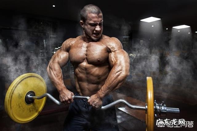 健身增肌,应该在频率、强度和饮食上注意什么?