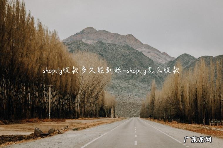 shopify收款Pingpong个人账户 shopify收款多久能到账