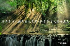 拼多多快团团是什么意思 拼多多万人团是什么意思