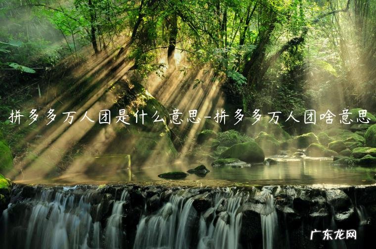 拼多多快团团是什么意思 拼多多万人团是什么意思