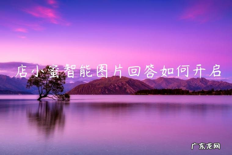 店小蜜智能图片回答如何开启