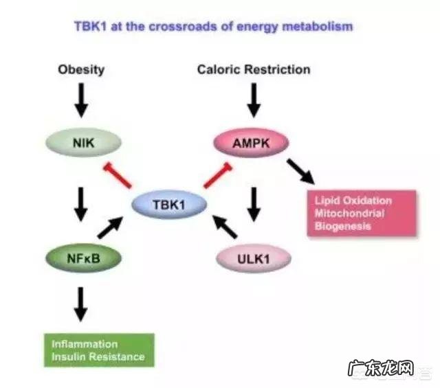 减肥进入瓶颈期怎么办,怎么才能持久?