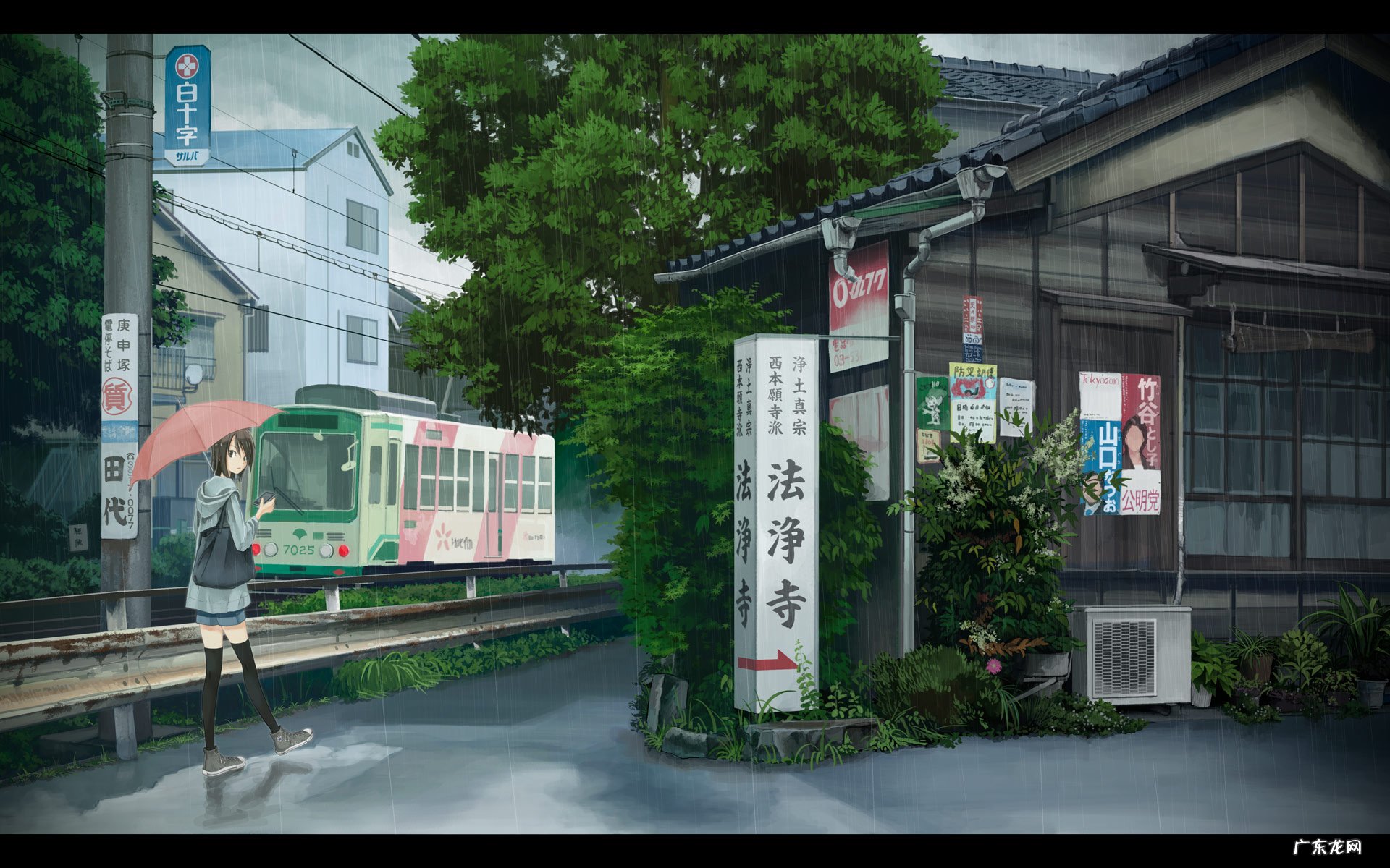 鸡蛋有多少蛋白质脂肪 人吃进去的蛋白质会转换成脂肪吗？