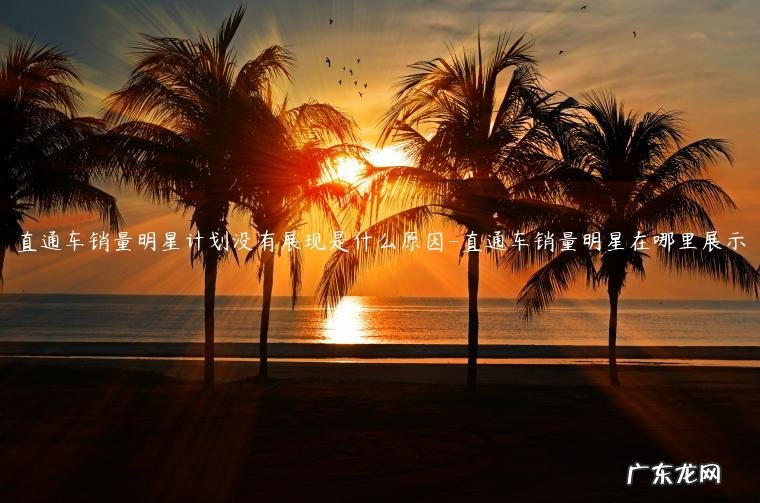 直通车销量明星在哪里展示 直通车销量明星计划没有展现是什么原因