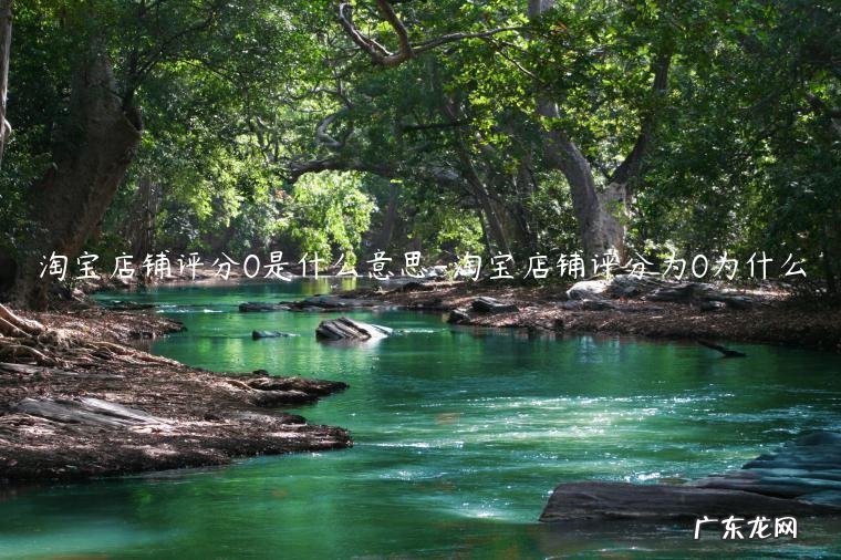 淘宝店宝贝描述分0 淘宝店铺评分0是什么意思