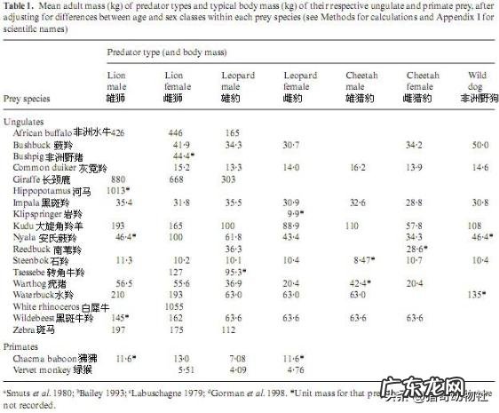 一头壮年雄狮打得过一头壮年长颈鹿吗狮子会不会猎杀壮年长颈鹿