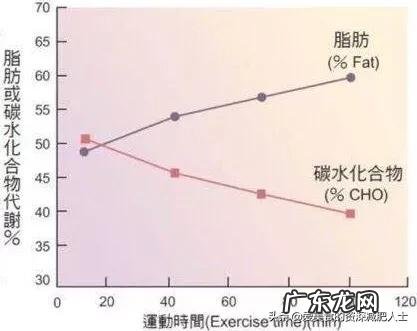 减一斤脂肪需要在跑步机上跑多久