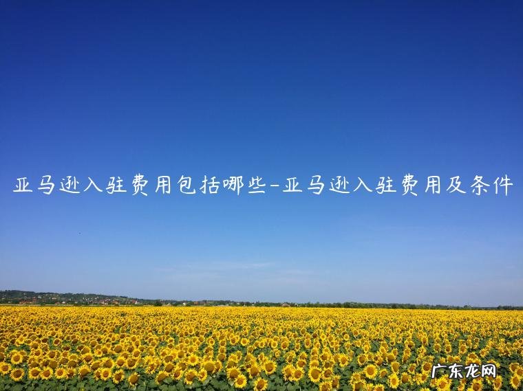 进驻亚马逊需要投资多少钱 亚马逊入驻费用包括哪些