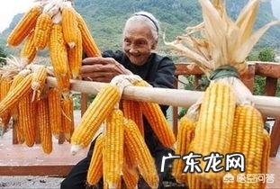 长寿村的长寿老人们身体就都健康吗?