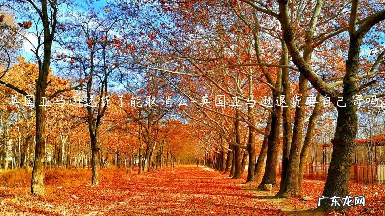 亚马逊买东西可以寄到英国吗 英国亚马逊送货了能取消么