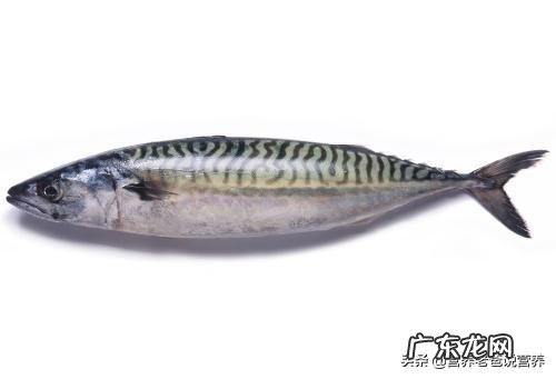 经常玩手机的人,多吃些什么好?