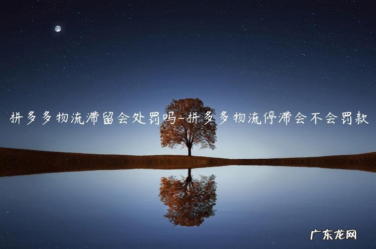 拼多多物流信息长时间不更新会罚款吗 拼多多物流滞留会处罚吗