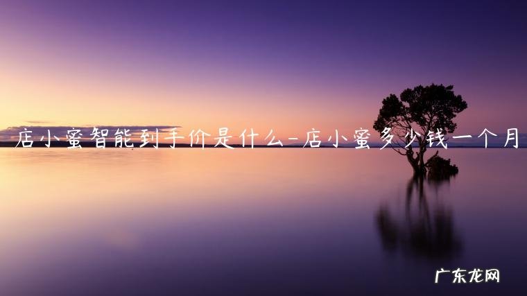 店小蜜多少钱一个月 店小蜜智能到手价是什么