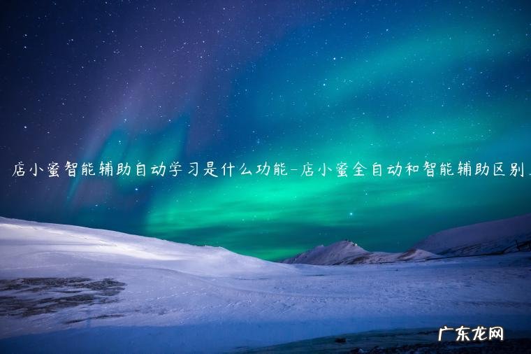 店小蜜全自动和智能辅助区别 店小蜜智能辅助自动学习是什么功能