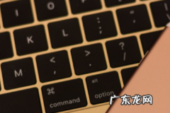 拼多多买40返50是真的吗 拼多多买10返10是真的吗