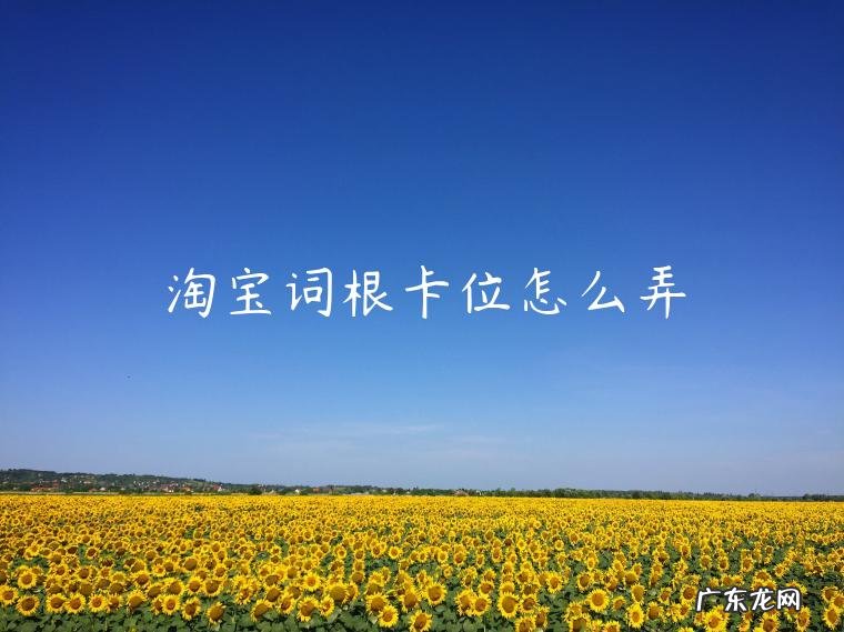 淘宝词根卡位怎么弄
