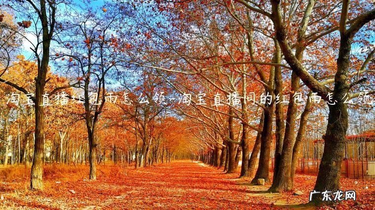 淘宝直播红包在哪里 淘宝直播红包雨怎么领