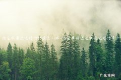 淘宝的承诺送达有效吗 淘宝承诺送达赔付标准怎么样