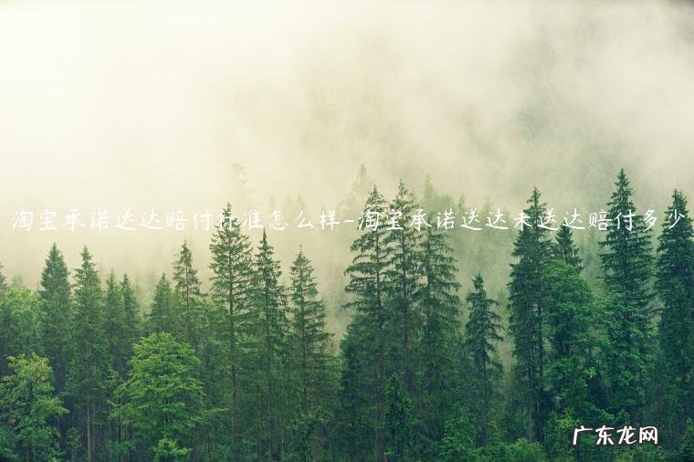 淘宝的承诺送达有效吗 淘宝承诺送达赔付标准怎么样