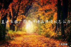 直通车推广图片涉嫌品牌侵权怎么办