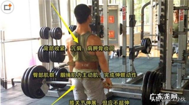 卧推深蹲硬拉都是肌肉训练，可以不用专门练腹肌吗？为什么？