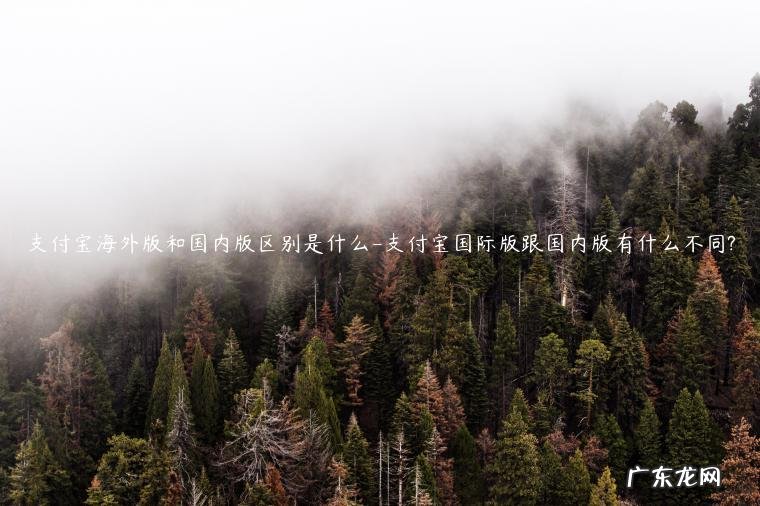 支付宝有海外版的吗 支付宝海外版和国内版区别是什么