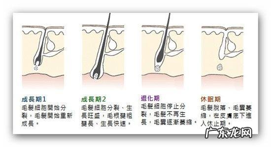26岁女生,脱发如何解决?
