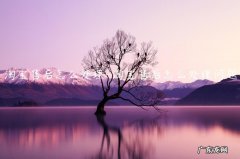 淘宝售后怎么处理退款 淘宝售后怎么处理