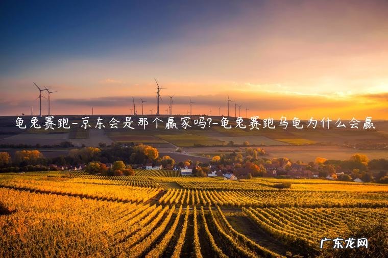 龟兔赛跑绘本故事图片 龟兔赛跑