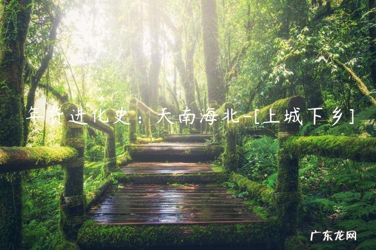 年货进化史:天南海北