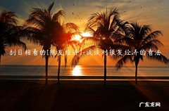 银发经济的概念 刮目相看的[银发经济]