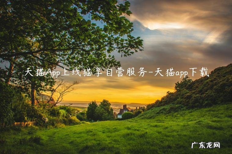 天猫提供的服务 天猫App上线猫享自营服务