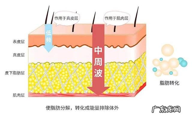 每天跳绳5000个一个月可以瘦几斤 每天跳绳1000下,坚持一个月,可以瘦下来吗?瘦多少斤呢?