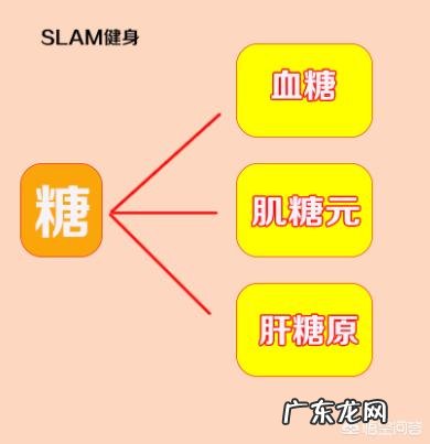 有氧运动是跑30分钟后还是40分钟以后才开始消耗脂肪的