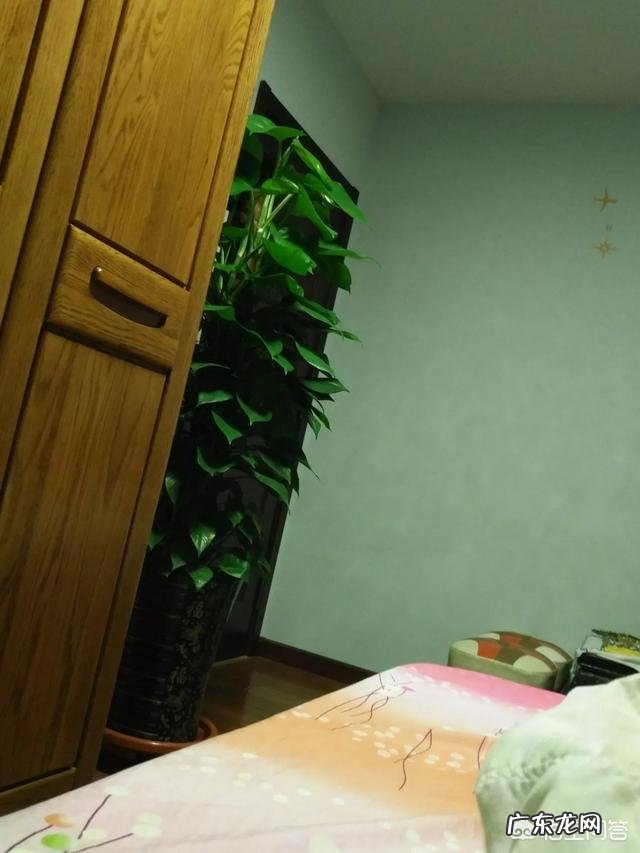 一个房间内的空气重量大约是多少