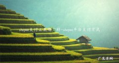 shopee怎么付款 shopee支付工具哪个好