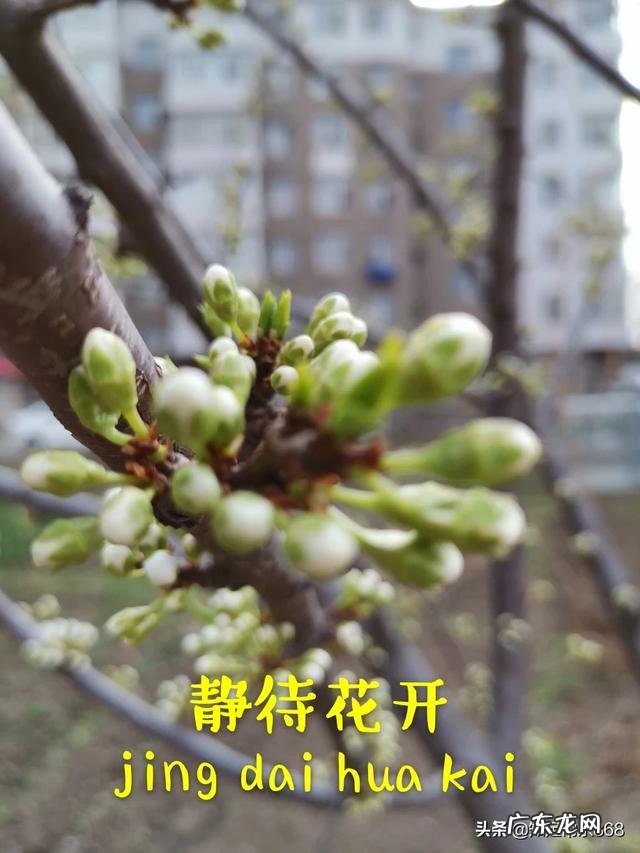 孩子上初一,懒惰不学习,不自律怎么办