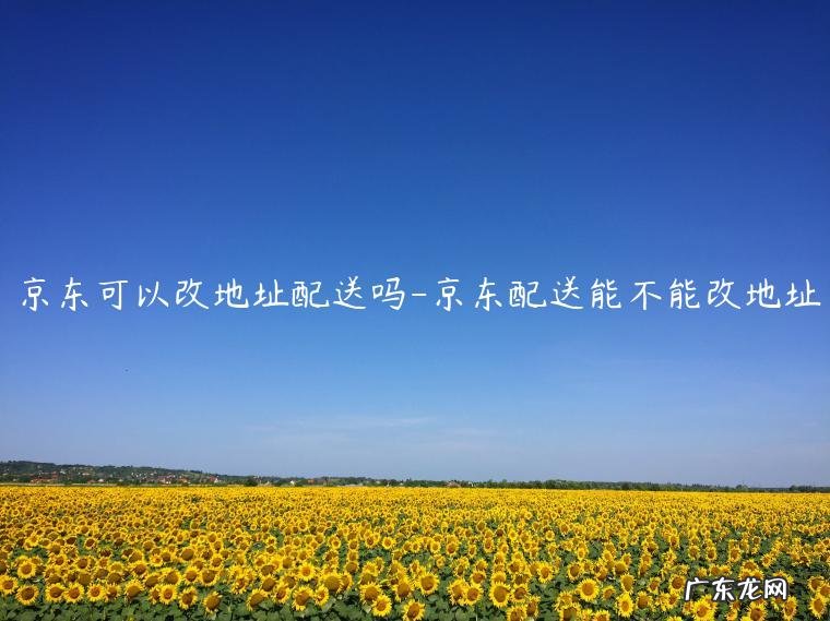 京东买了东西怎样更改送货地址 京东可以改地址配送吗