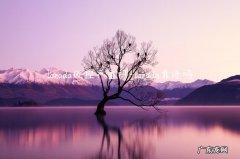 lazada靠谱吗 lazada风控严重吗