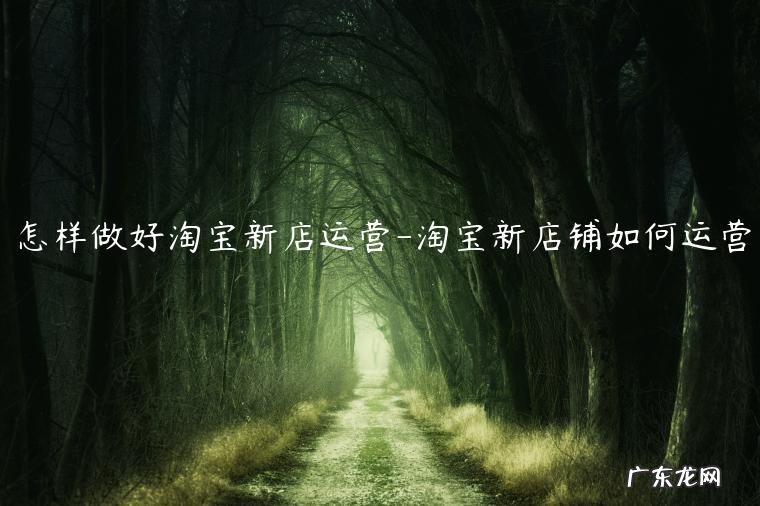 新手如何运营淘宝网店 怎样做好淘宝新店运营