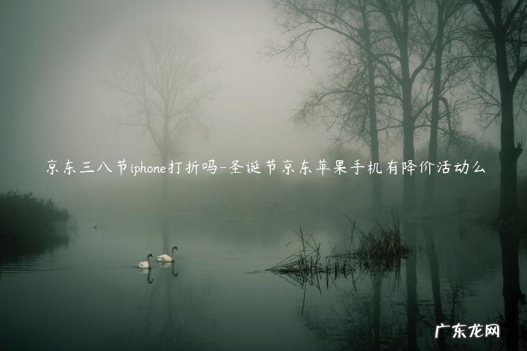 京东苹果手机什么时候有优惠活动 京东三八节iphone打折吗