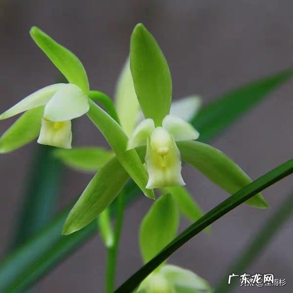 懂医学是一种怎样的体验?